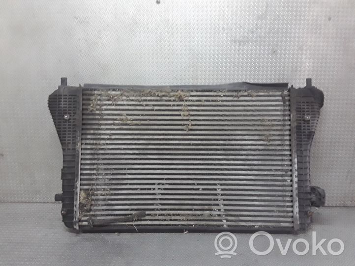 Seat Toledo III (5P) Chłodnica powietrza doładowującego / Intercooler 