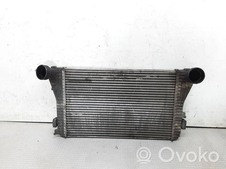 Volkswagen Golf V Chłodnica powietrza doładowującego / Intercooler 