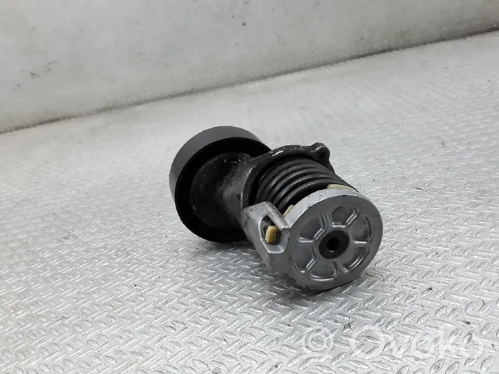 Volkswagen Golf VI Tendicinghia generatore/alternatore 038903315AH