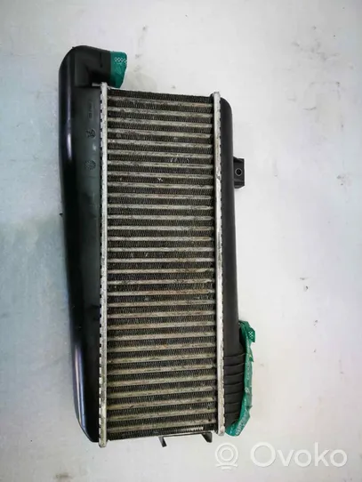 Citroen ZX Chłodnica powietrza doładowującego / Intercooler 9613541380