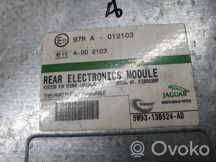 Jaguar XJ X350 ABS control unit/module 5W9313B524AD