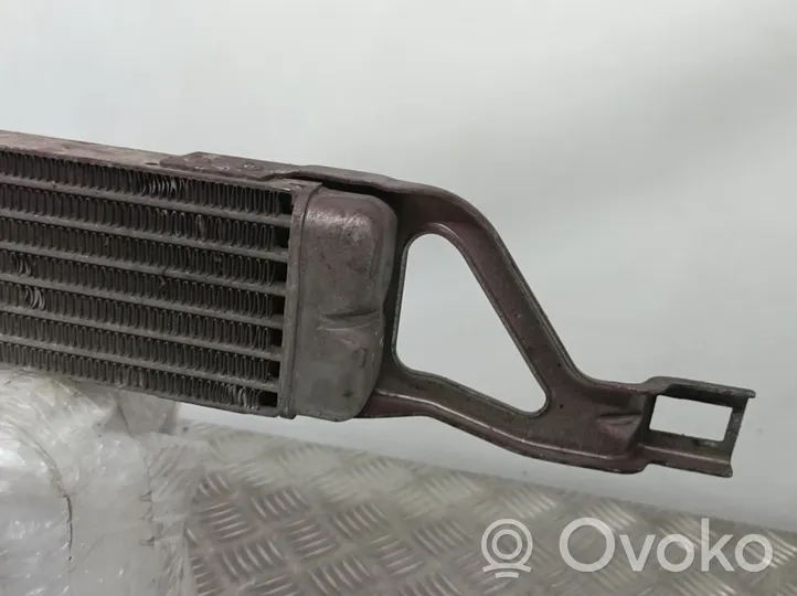 Mercedes-Benz B W245 Dzinēja eļļas radiators A1695000200