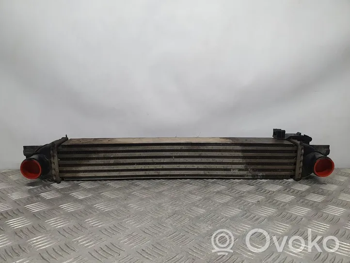 Citroen Nemo Chłodnica powietrza doładowującego / Intercooler 51790623