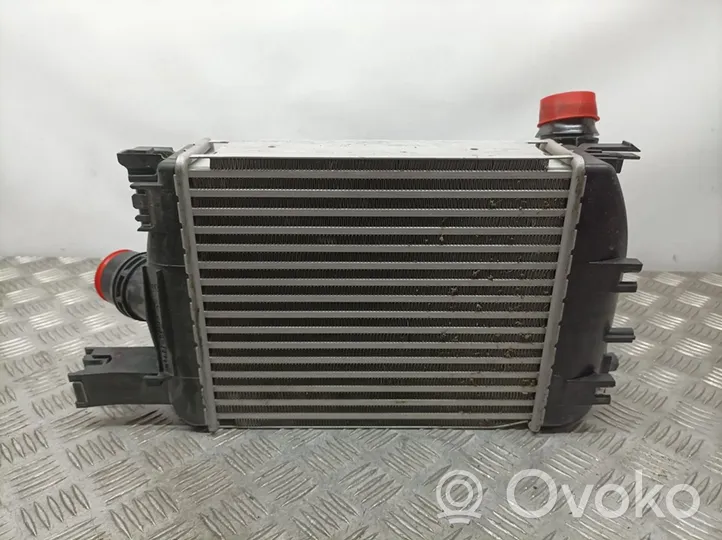 Dacia Dokker Starpdzesētāja radiators 144965154R