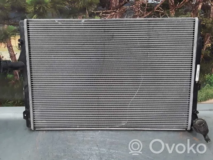 Volkswagen PASSAT B6 Aušinimo skysčio radiatorius 3C0121253K