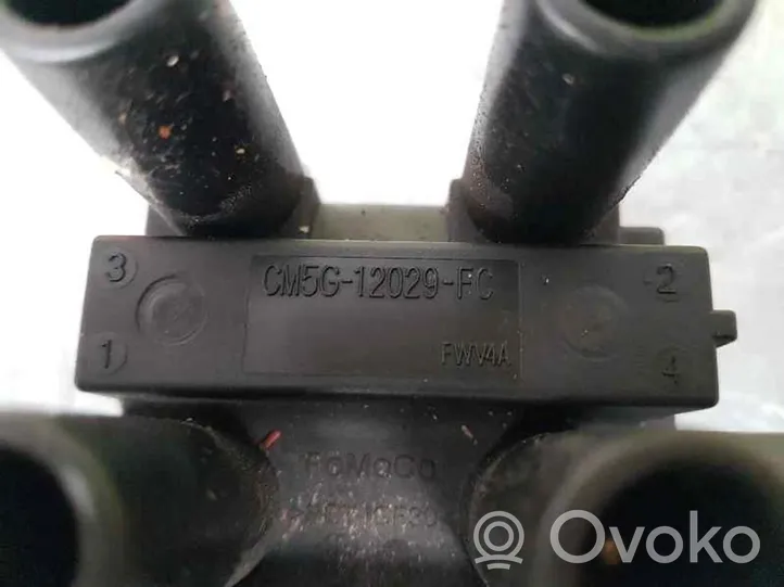 Ford Focus Bobina di accensione ad alta tensione CM5G12029FC