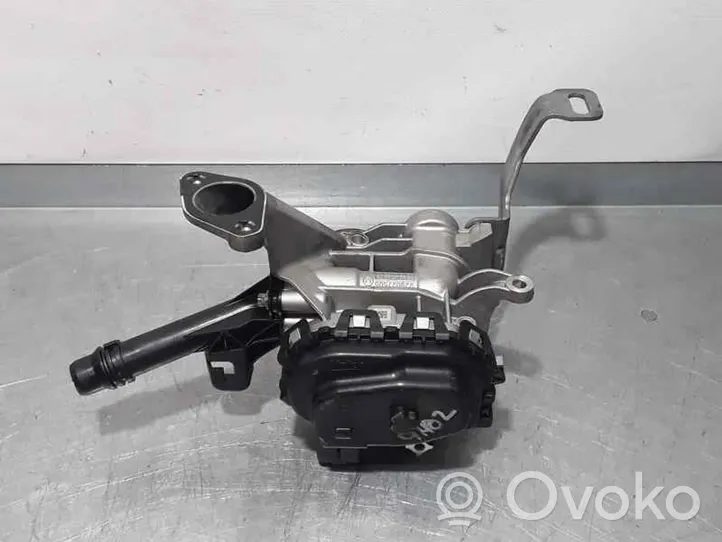 Citroen C3 EGR vožtuvas 9807369980