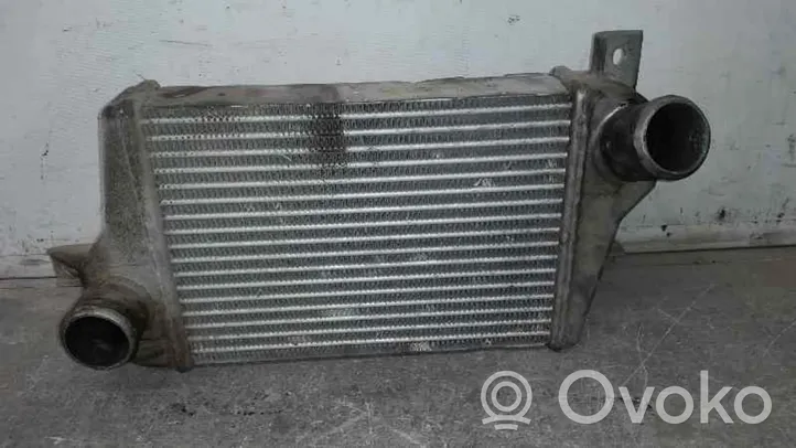 Tata Safari Радиатор интеркулера 6070910075