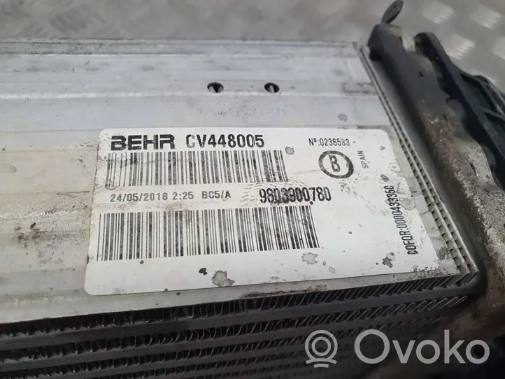 Citroen C3 Aircross Chłodnica powietrza doładowującego / Intercooler 9803900780