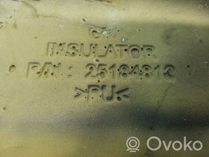 Opel Antara Variklio dangtis (apdaila) 15267367