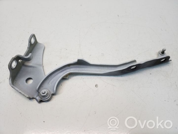 Chrysler 200 Engine bonnet/hood hinges 