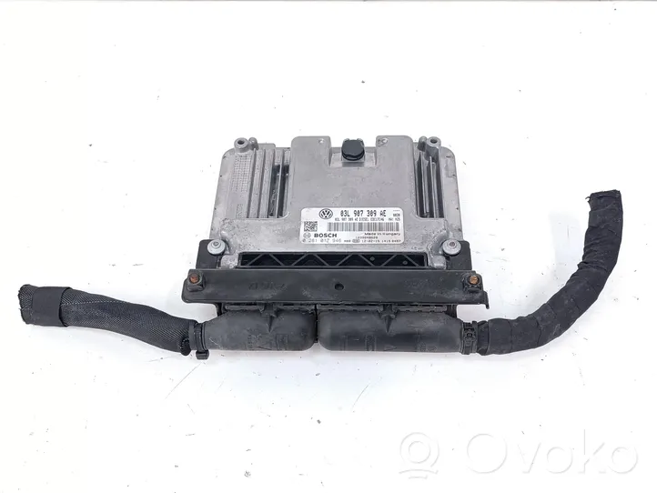 Volkswagen Tiguan Calculateur moteur ECU 03L907309AE