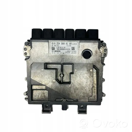 Mercedes-Benz GLC C254 Sterownik / Moduł ECU A2549000100