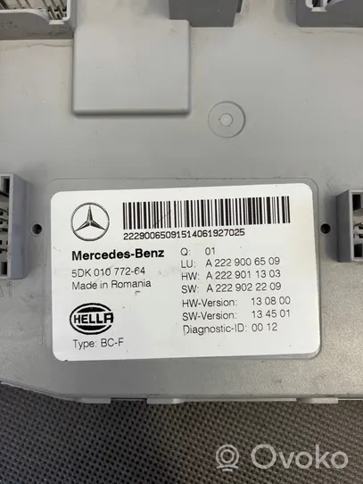 Mercedes-Benz S W222 Jednostka sterowania SAM A2229006509