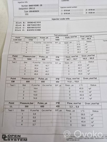 Citroen C4 II Sprauslu komplekts 04451103402