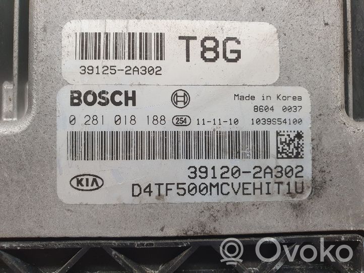 KIA Optima Sterownik / Moduł ECU 391202A302