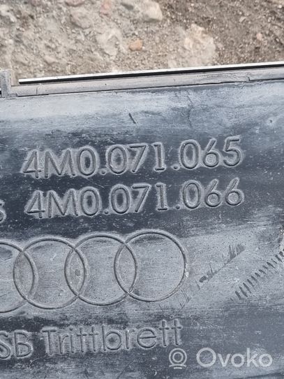 Audi Q7 4M Slenksčiai visureigiams (džipams) 4M0071065