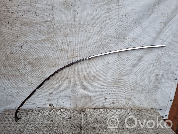 Opel Antara Moulures, baguette de toit P96660243