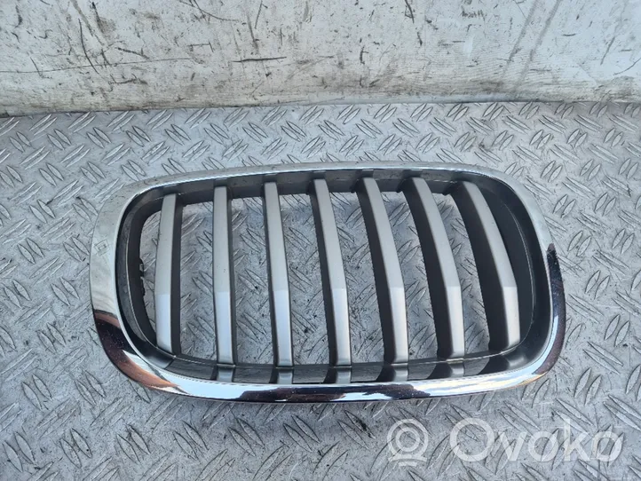 BMW X6 E71 Griglia anteriore 7305592