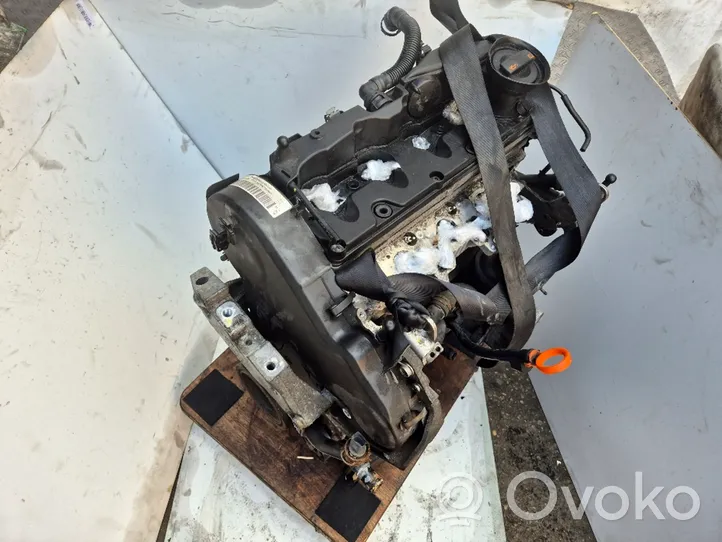 Skoda Octavia Mk2 (1Z) Motore CAY