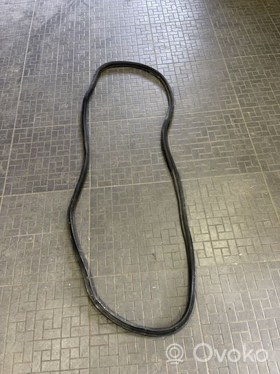 Opel Corsa D Front door rubber seal 13189011