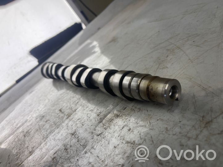 Volkswagen Polo V 6R Arbre à cames 010207856