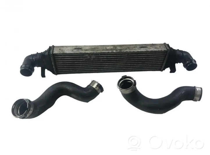 Mercedes-Benz E C207 W207 Chłodnica powietrza doładowującego / Intercooler A2045000200