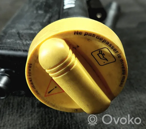 Renault Espace IV Oil level dip stick 8200140763