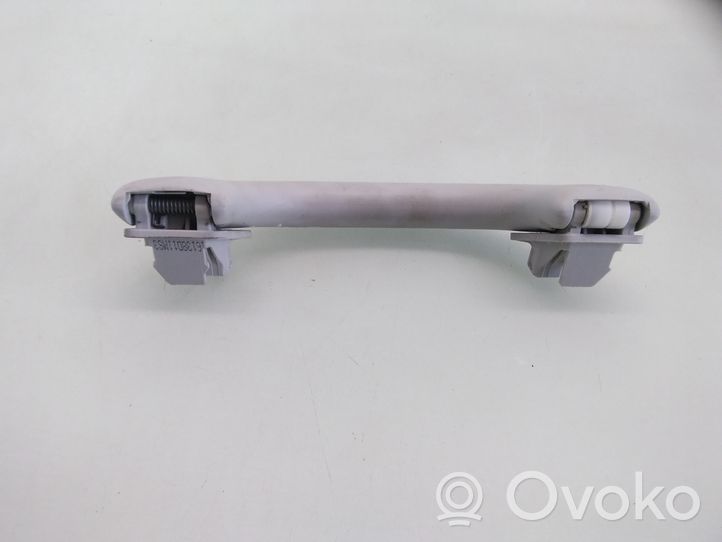 Volkswagen PASSAT B7 Front interior roof grab handle 