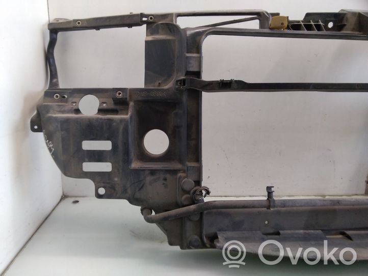 Ford Galaxy Radiatoru panelis (televizors) 95VWA00120