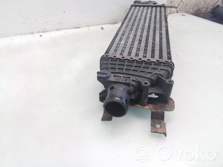 Ford Fusion Radiatore intercooler 