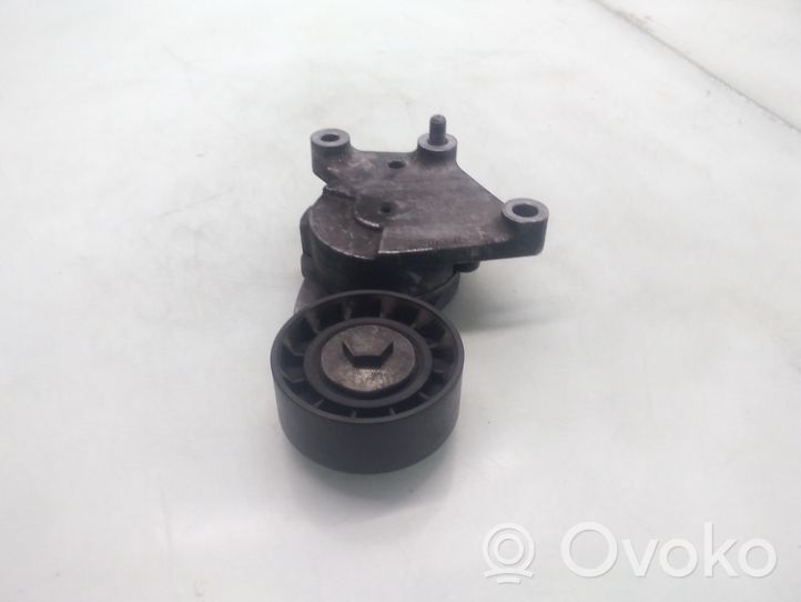 Ford Fusion Diržo įtempėjas 846143