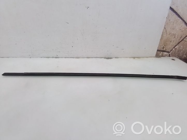 BMW 3 E46 Front door glass trim molding 