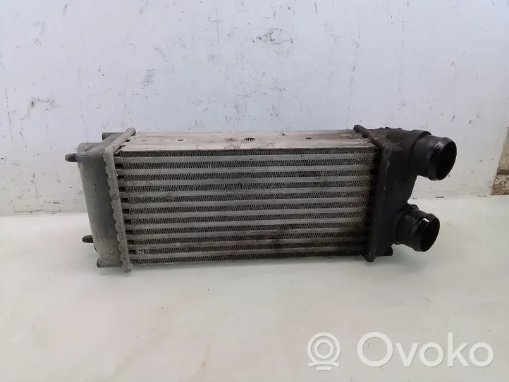 Peugeot 307 Radiatore intercooler 