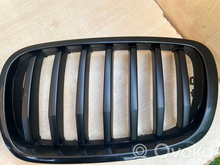 BMW X6 E71 Front grill 7305591