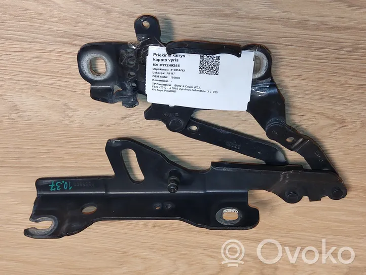 BMW 4 F32 F33 Cerniere del vano motore/cofano 7336699