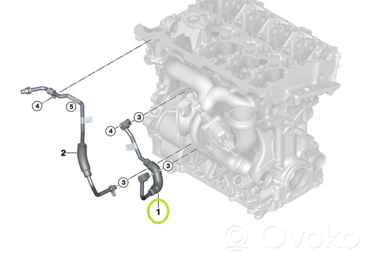 BMW 3 G20 G21 Durite de refroidissement tube 8629971