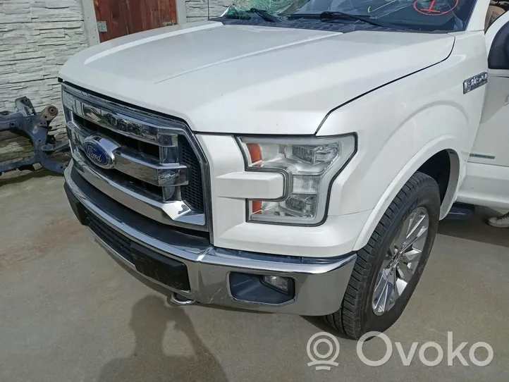 Ford F150 Задний aмортизатор FL34-18080-EC