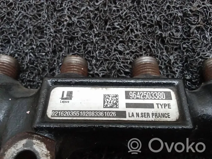 Citroen C3 Linea principale tubo carburante 9642503380