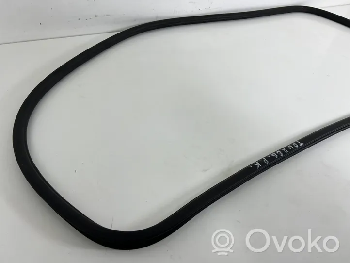 Volkswagen Touareg II Front door rubber seal 