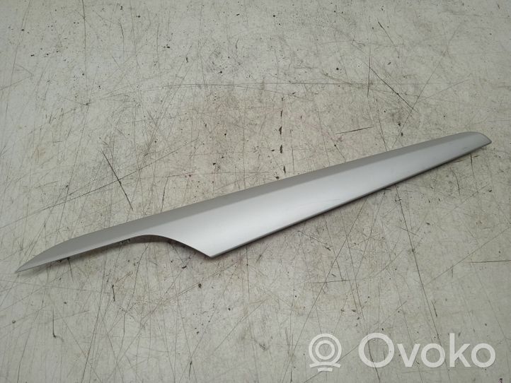 BMW X1 E84 Rivestimento del vano portaoggetti del cruscotto 2991390