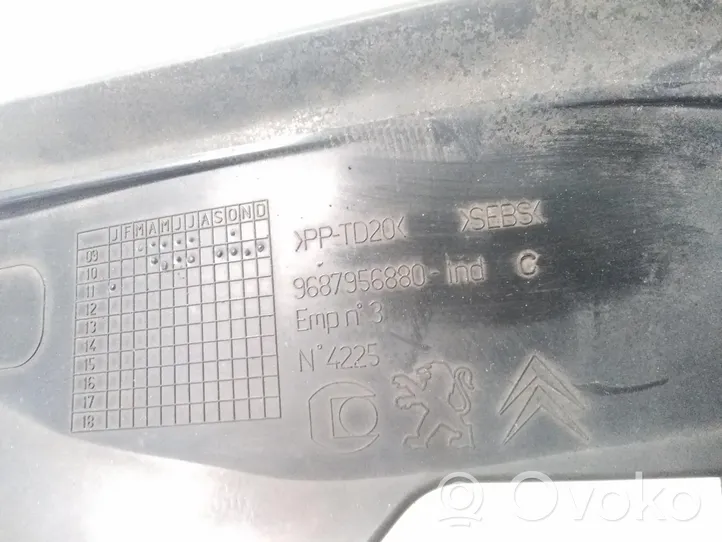 Citroen C4 II Rivestimento modanatura 9687956880