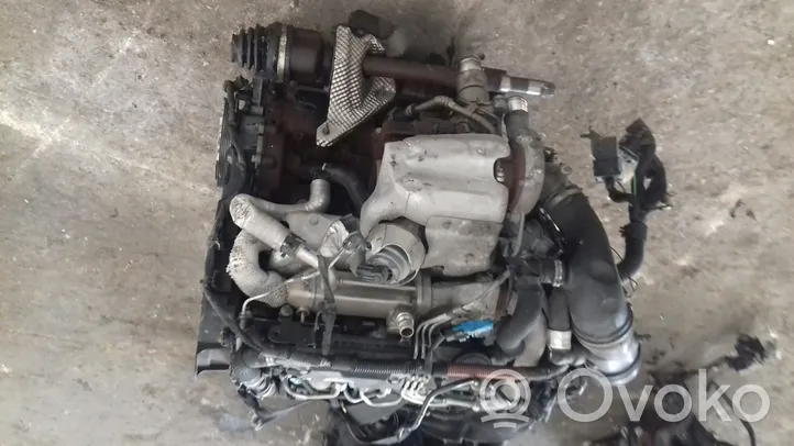 Citroen C8 Motore 4H01