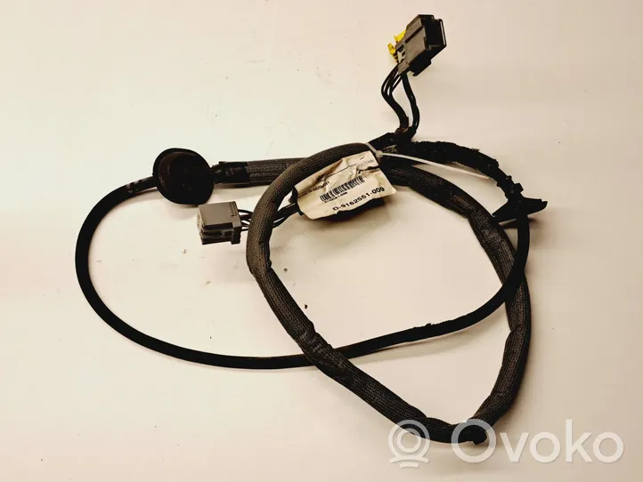 Volvo S80 Cableado de puerta de carga 9162551009