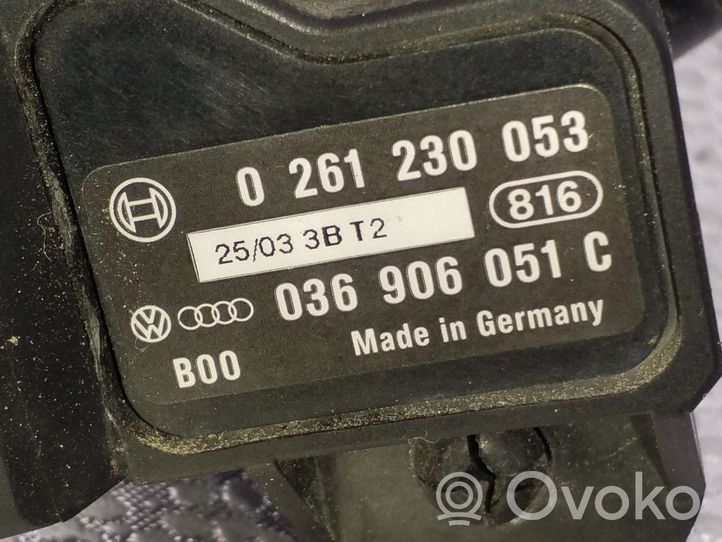 Audi A4 S4 B6 8E 8H Sensore 036906051C