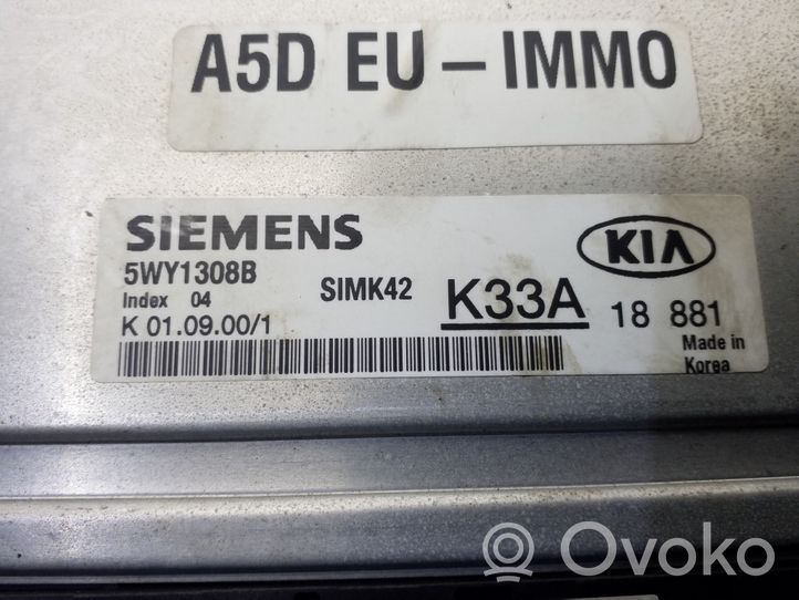 KIA Rio Unité de commande, module ECU de moteur 5WY1308B