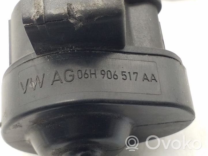 Volkswagen Tiguan Czujnik przewodu odpowietrzającego / odmy 06H906517AA