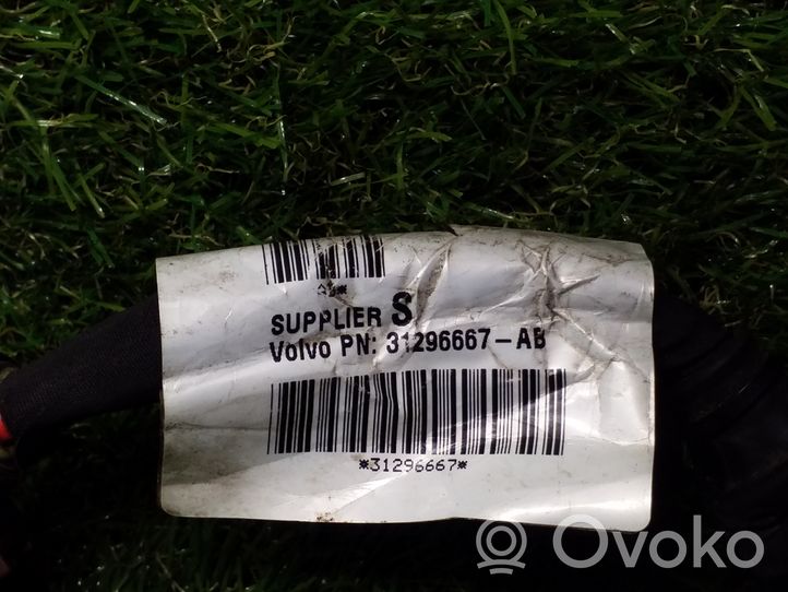 Volvo S40 Negative earth cable (battery) 31296667AB