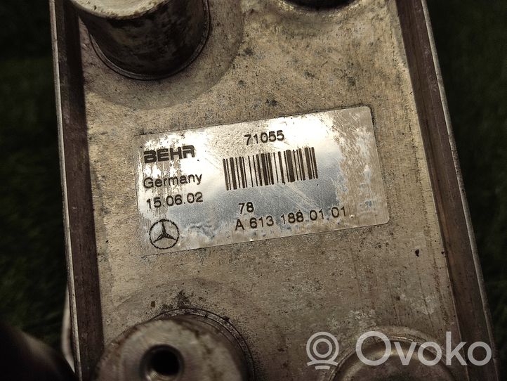 Mercedes-Benz E W210 Radiatore dell’olio del motore A6131880101