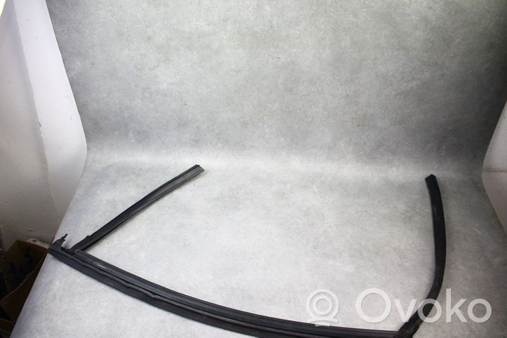 Ford Fusion II Rubber seal front coupe door 